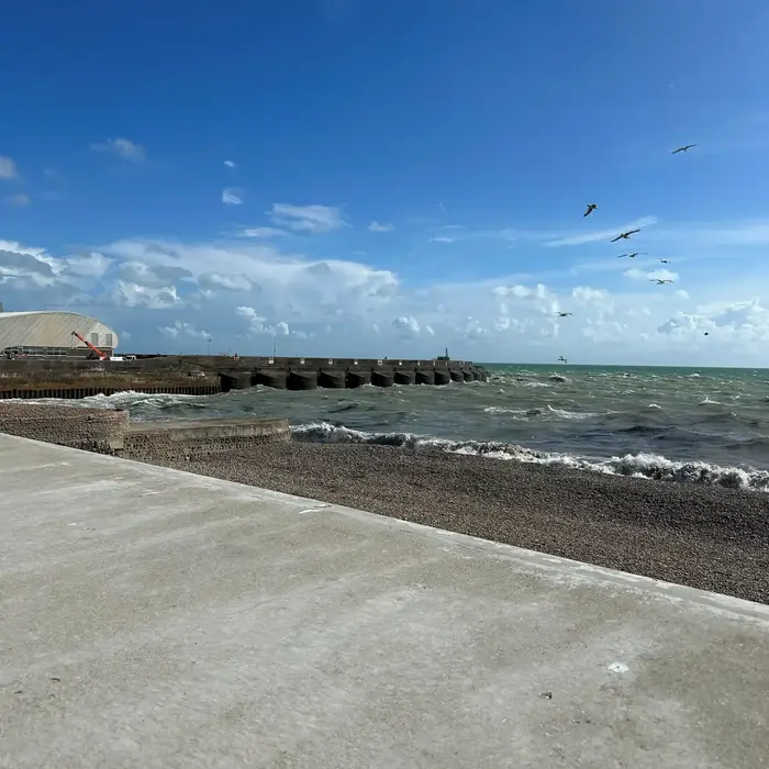Image 6