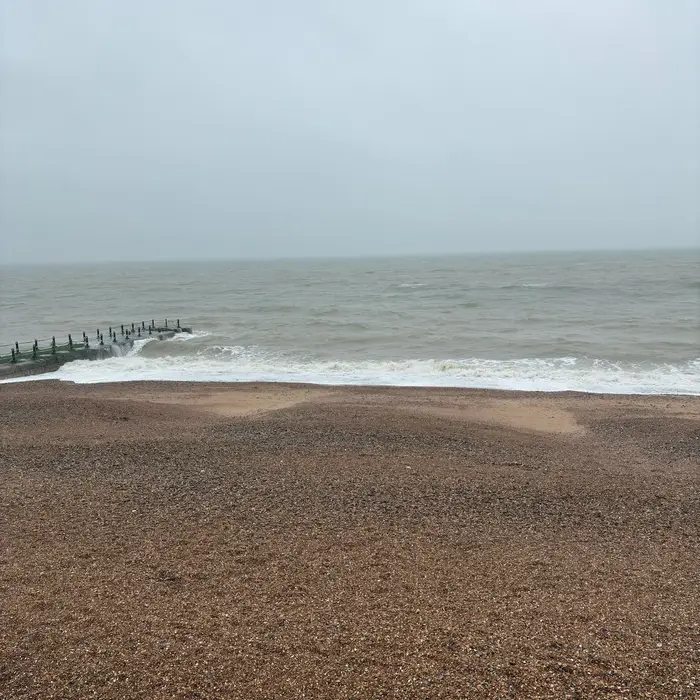Brighton & Hove preview image