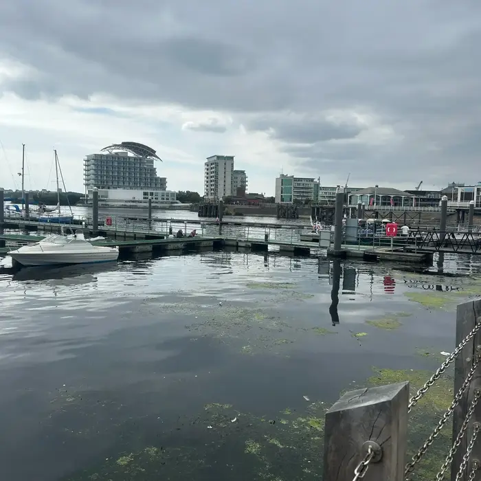 Image 6