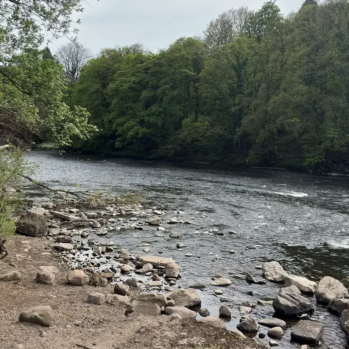 Radyr preview image