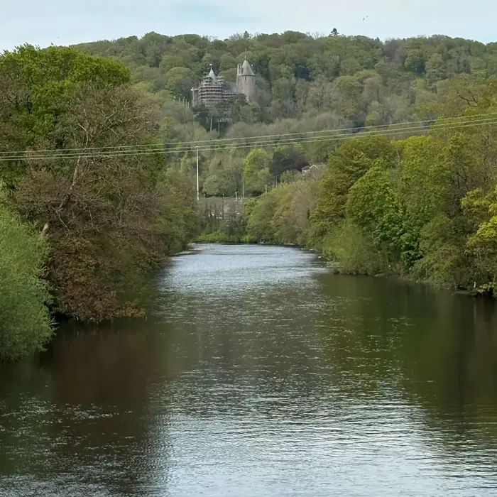 Image 5