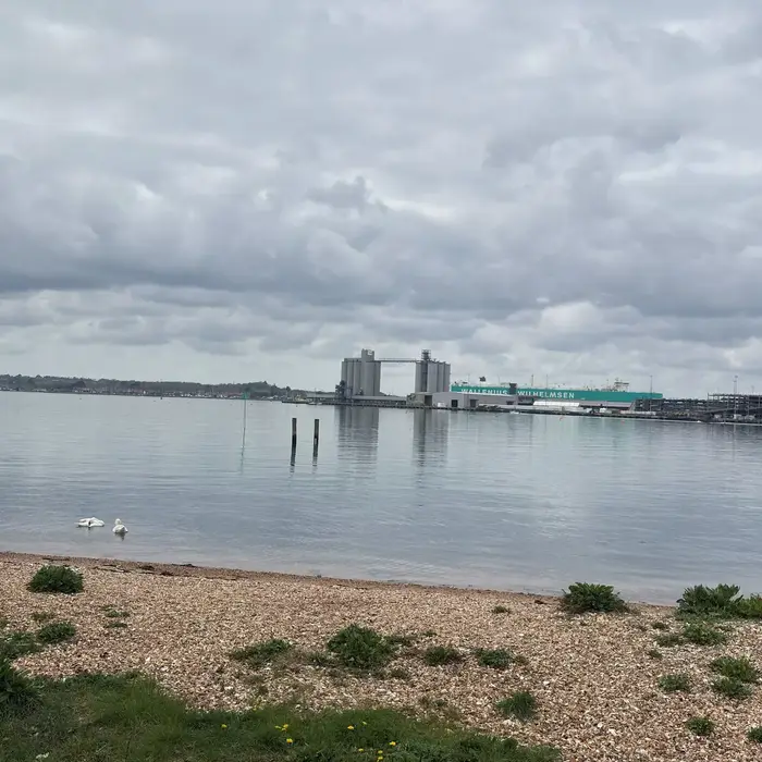 Image 6